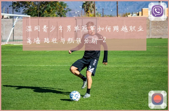 温网青少年男单冠军如何跨越职业高墙 路径与瓶颈分析